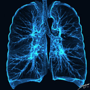 Lungs | Medical Art